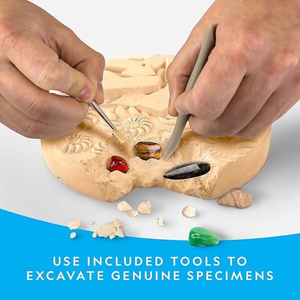 NATIONAL GEOGRAPHIC Mega Fossil and Gemstone Dig Kit - Excavate 20 Real Fossils and Gems, Science Kit for Kids, Rock Digging Excavation Kit, Geology Gifts for Boys and Girls - Image 6