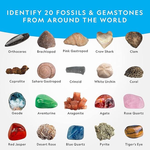 NATIONAL GEOGRAPHIC Mega Fossil and Gemstone Dig Kit - Excavate 20 Real Fossils and Gems, Science Kit for Kids, Rock Digging Excavation Kit, Geology Gifts for Boys and Girls - Image 5