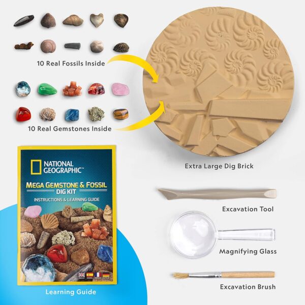 NATIONAL GEOGRAPHIC Mega Fossil and Gemstone Dig Kit - Excavate 20 Real Fossils and Gems, Science Kit for Kids, Rock Digging Excavation Kit, Geology Gifts for Boys and Girls - Image 3